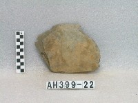 藏品(板棺側板)的圖片